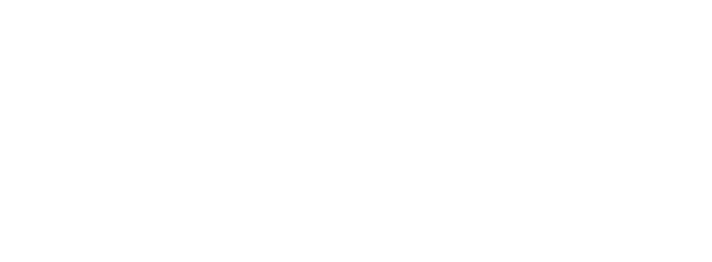 The Morris Area Foundation